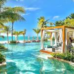 Tosin Daniel Profile Picture