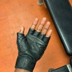 David David Profile Picture