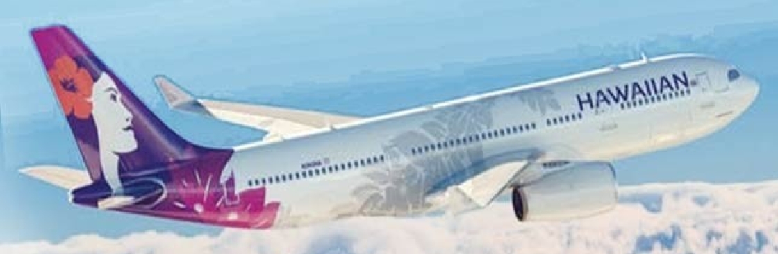 Book Budget Flight Cover Image