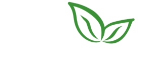 Fressh Farm Vegetable Delivery UK, Italy - Okra, Capsicum