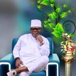 Maize Sally Profile Picture