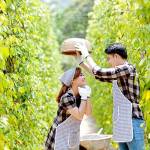 Diep Diep profile picture