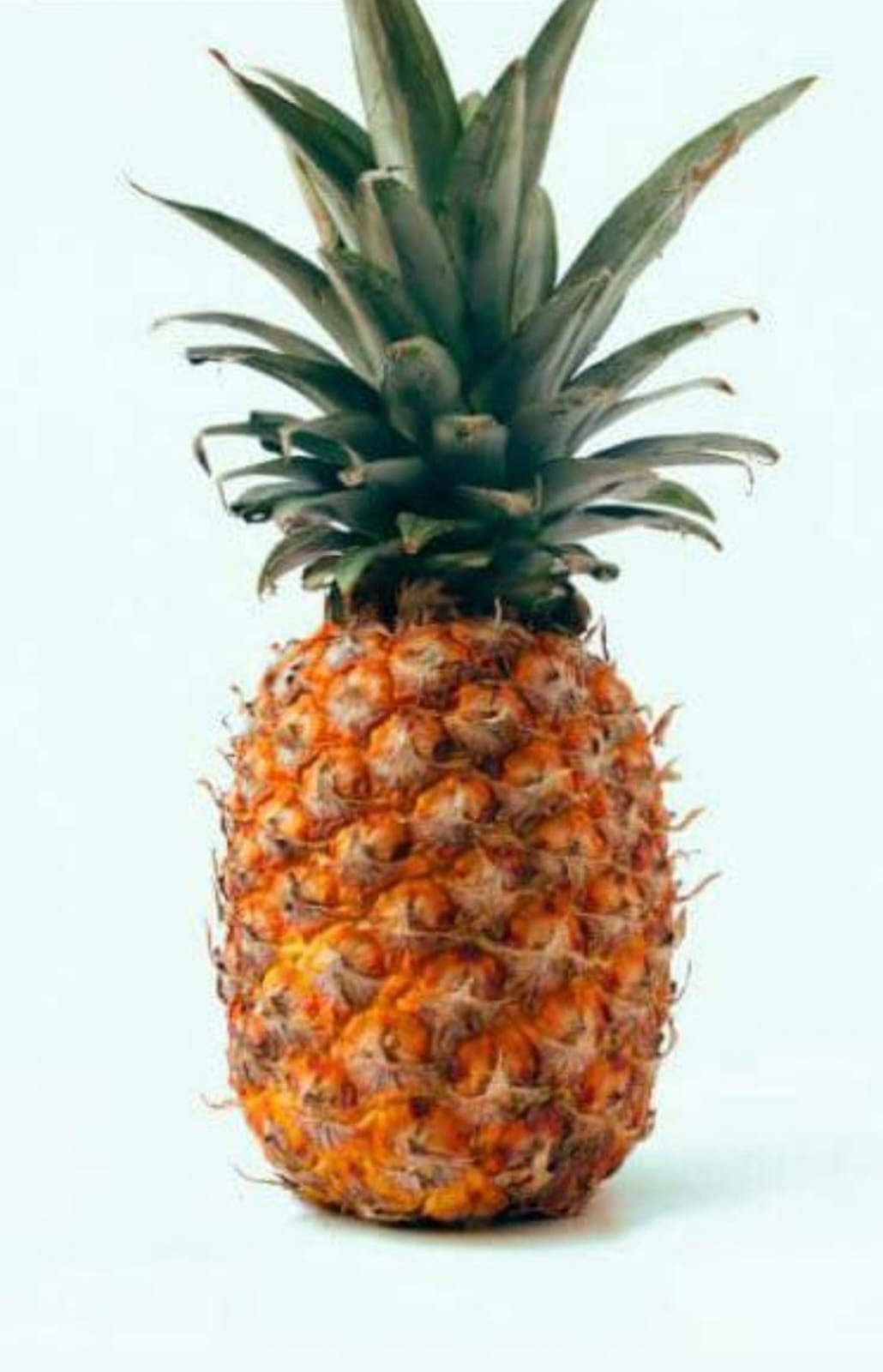 Nura Hassan Profile Picture