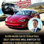 Olakunle Oluwaseyi Profile Picture