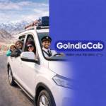 Go Cab profile picture